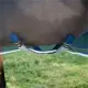 Amigo Net Cooler met afneembare singelriemen